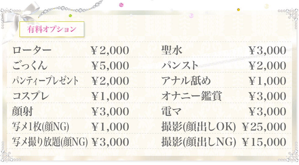 有料オプション